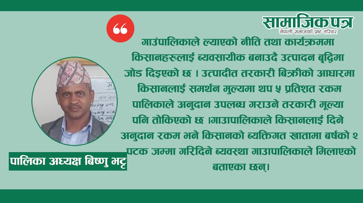 अब गोरखा बजारमा उत्तरी बारपाकको अर्गानिक तरकारी आउने तयारीमा